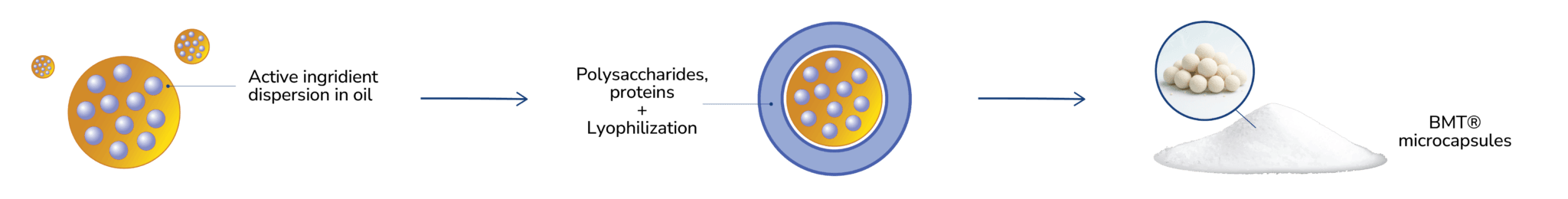 Microencapsulation Technology (BMT®)